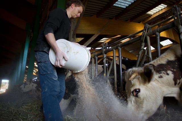 Noii bani europeni pentru agricultura. Ce trebuie sa stii ca sa-i poti lua