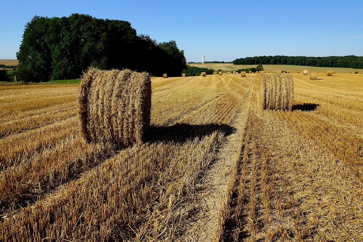 270.000 de hectare, scoase de la subventiile agricole in 2015. Care este explicatia