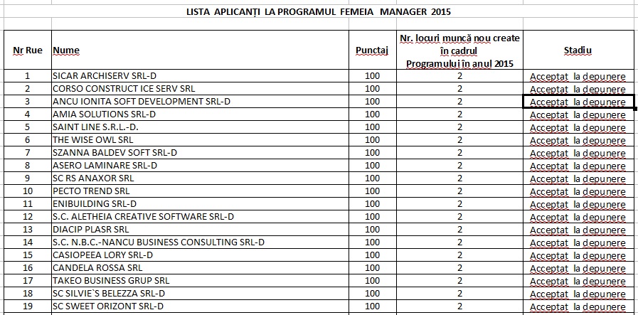 LISTA Ce concurenta este la ajutoarele de stat pentru femeile-antreprenor