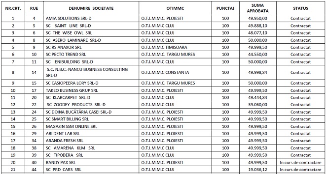 ​LISTA Acestea sunt firmele care au castigat pana la 50.000 de lei de la stat, in programul pentru femeile-antreprenor