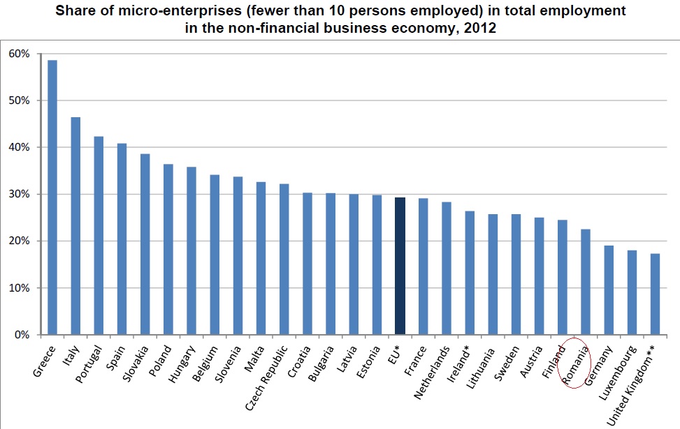 TOP Eurostat: ​Romania, printre tarile UE cu cea mai redusa rata de angajari in microintreprinderi