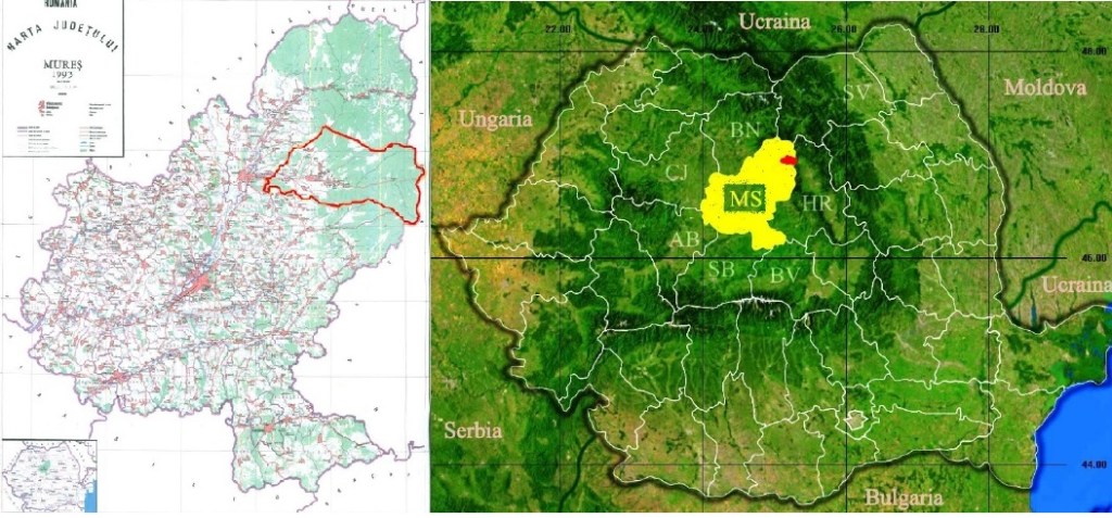 Unde si cum se va mai putea face Telemeaua de Ibanesti, noul produs traditional romanesc protejat in Uniunea Europeana