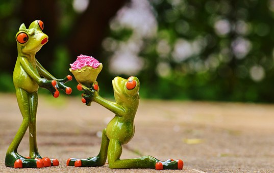 Valentine's Day si Dragobetele pe internet: Care au fost cele mai populare cautari in Google
