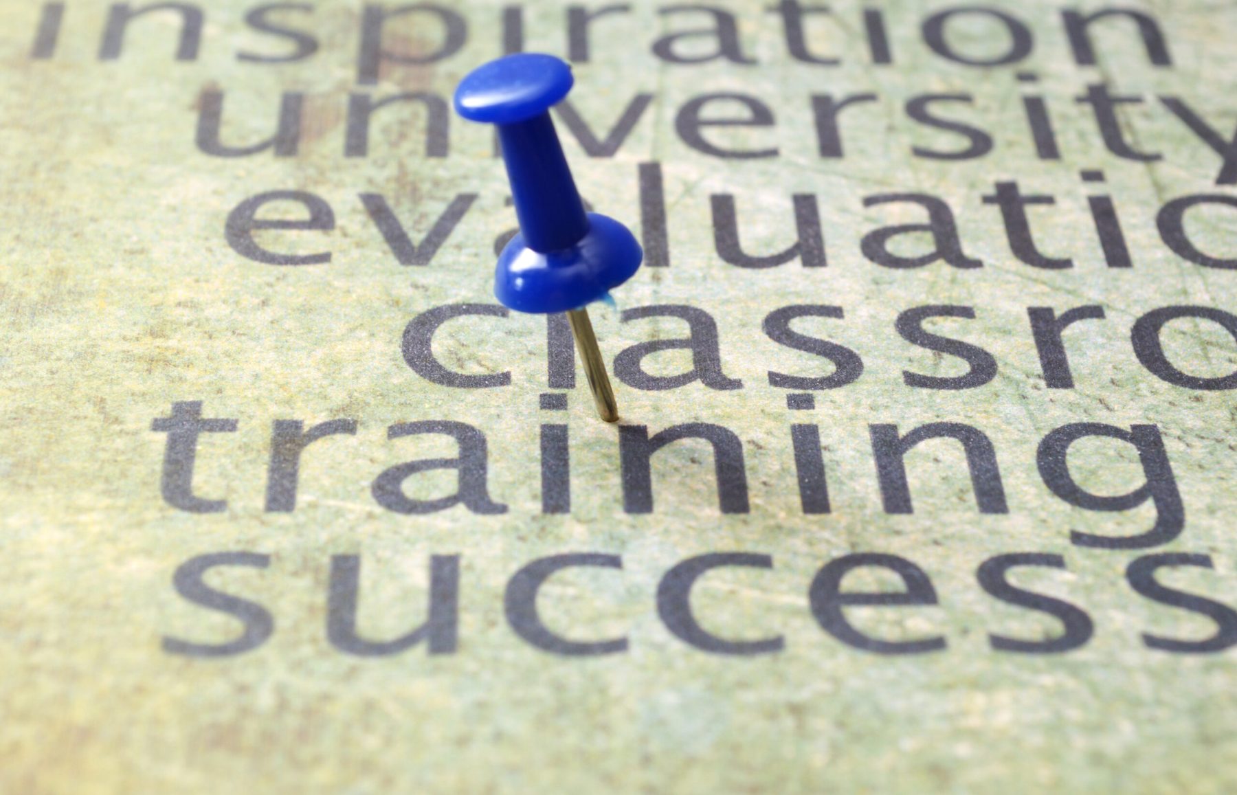 Training-ul, formarea profesionala si dezvoltarea personala doua procese necesare pentru un echilibru financiar. 