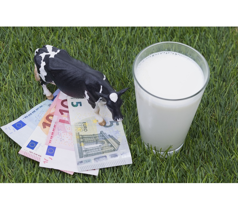 euro-lapte-vaca-dreamstime