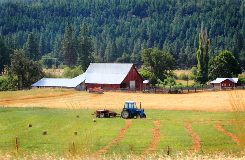 Ferma, agricultura