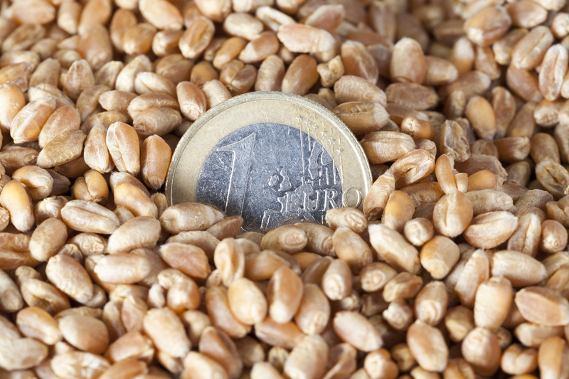 euro-moneda-grau-dreamstime