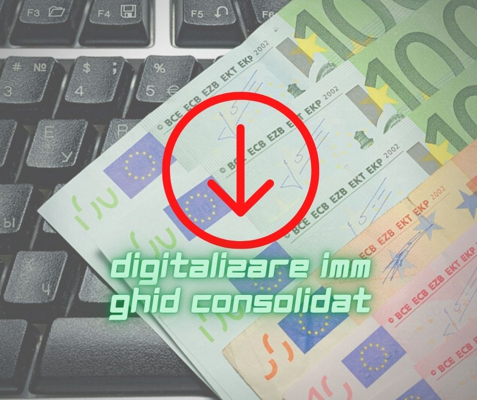 ghid-digitalizare imm.jpg