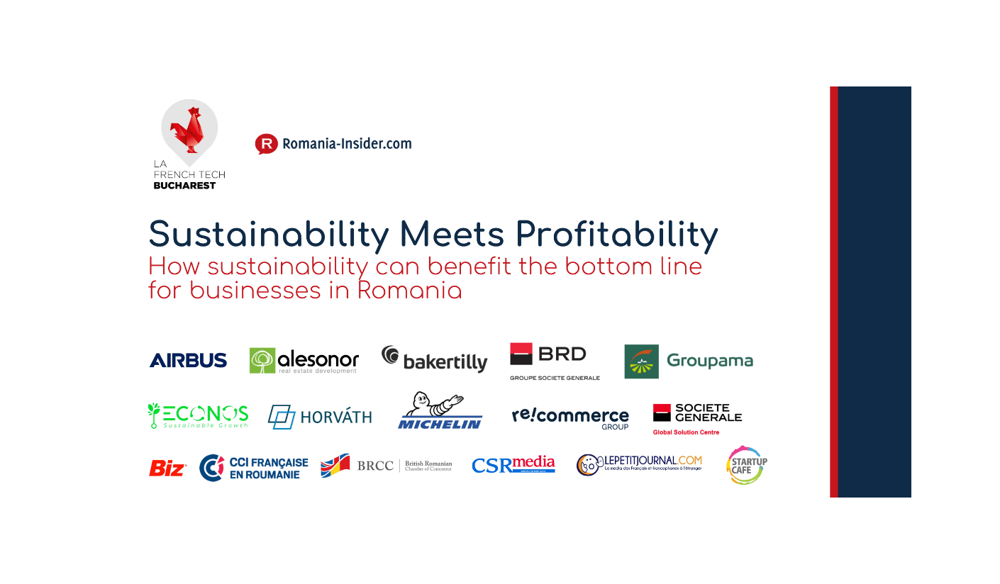 Sustainability Meets Profitability