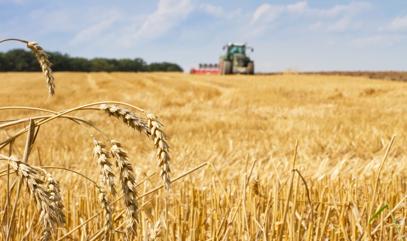 Ferma agricola 2023