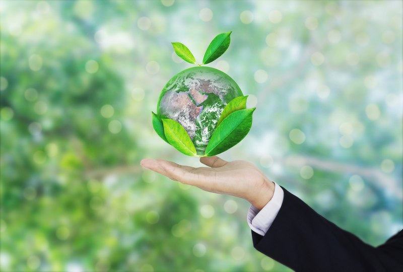 business eco dreamstime