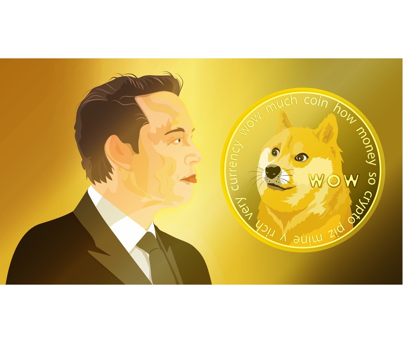 elon musk-dogecoin-dreamstime