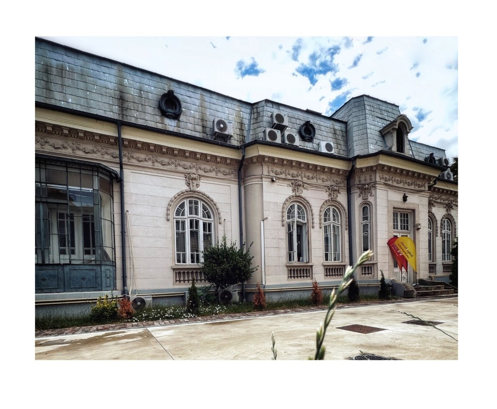 vila bucuresti-storia