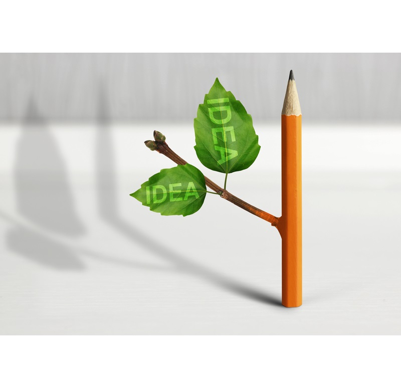 idee-afacere-dreamstime