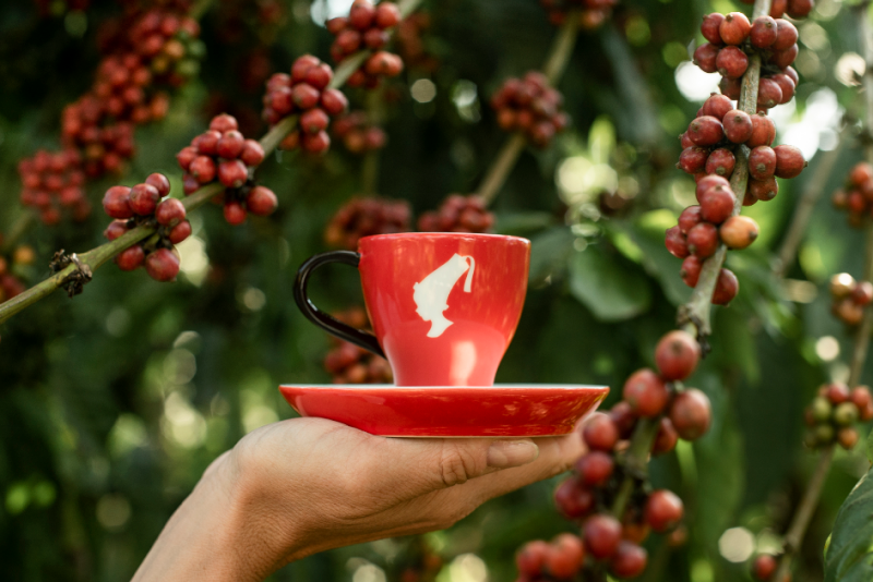 Julius Meinl 