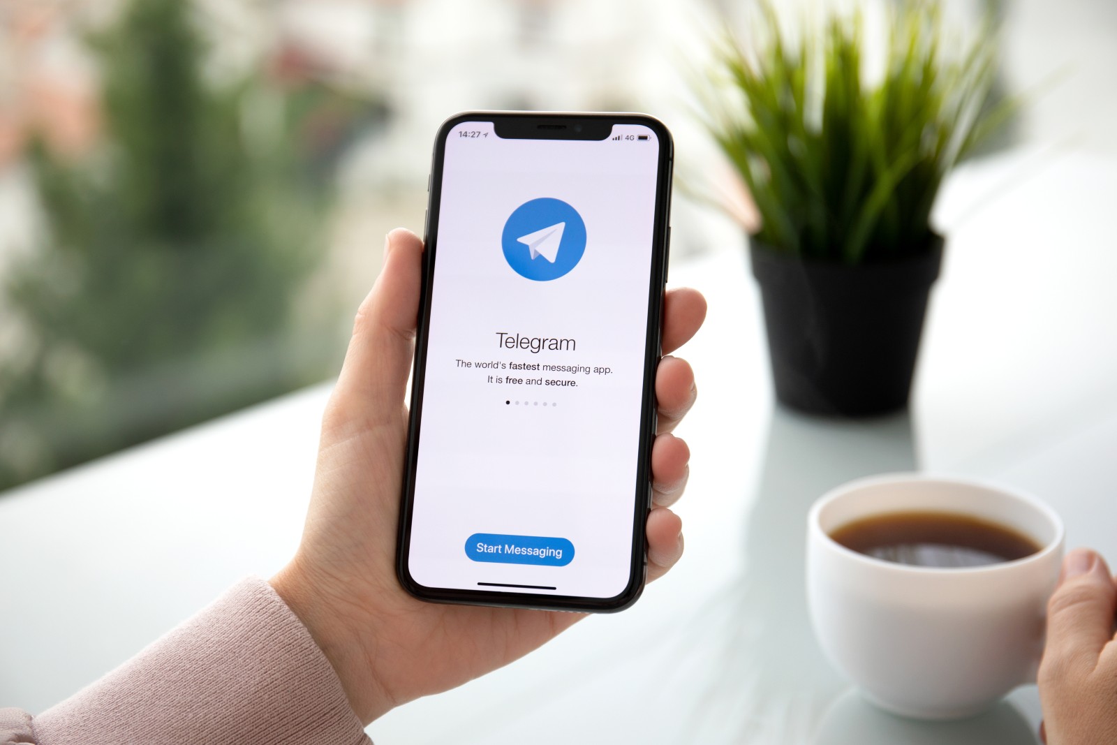 Aplicația Telegram pe telefon