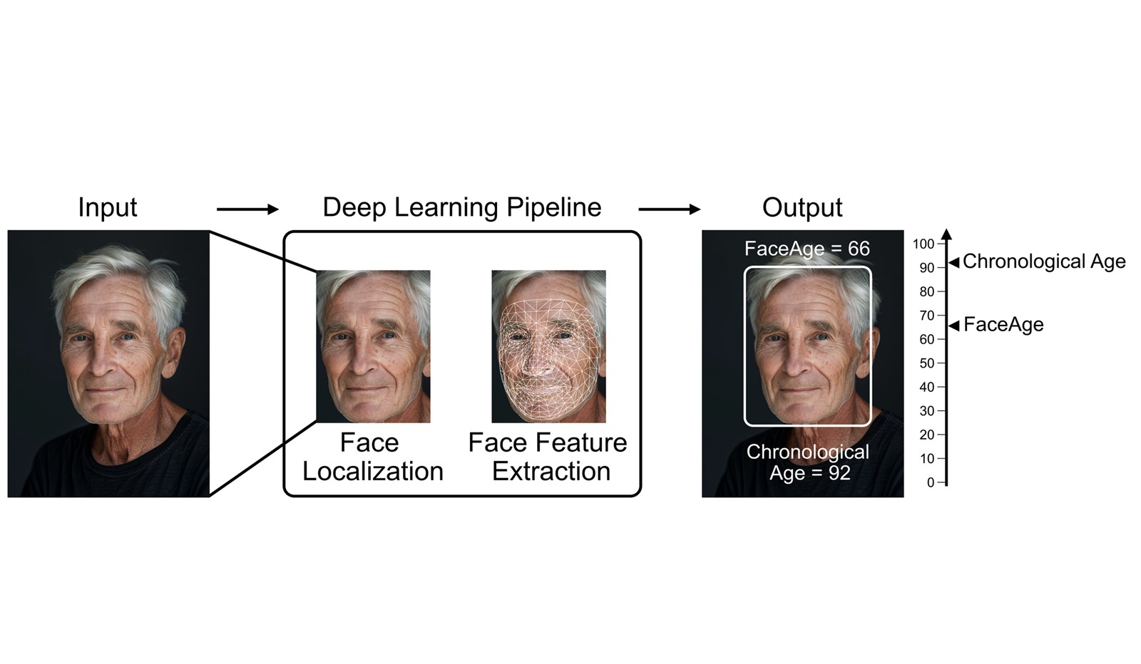 Acest instrument cu inteligență artificială dezvoltat de Harvard poate prezice speranța de viață a oamenilor