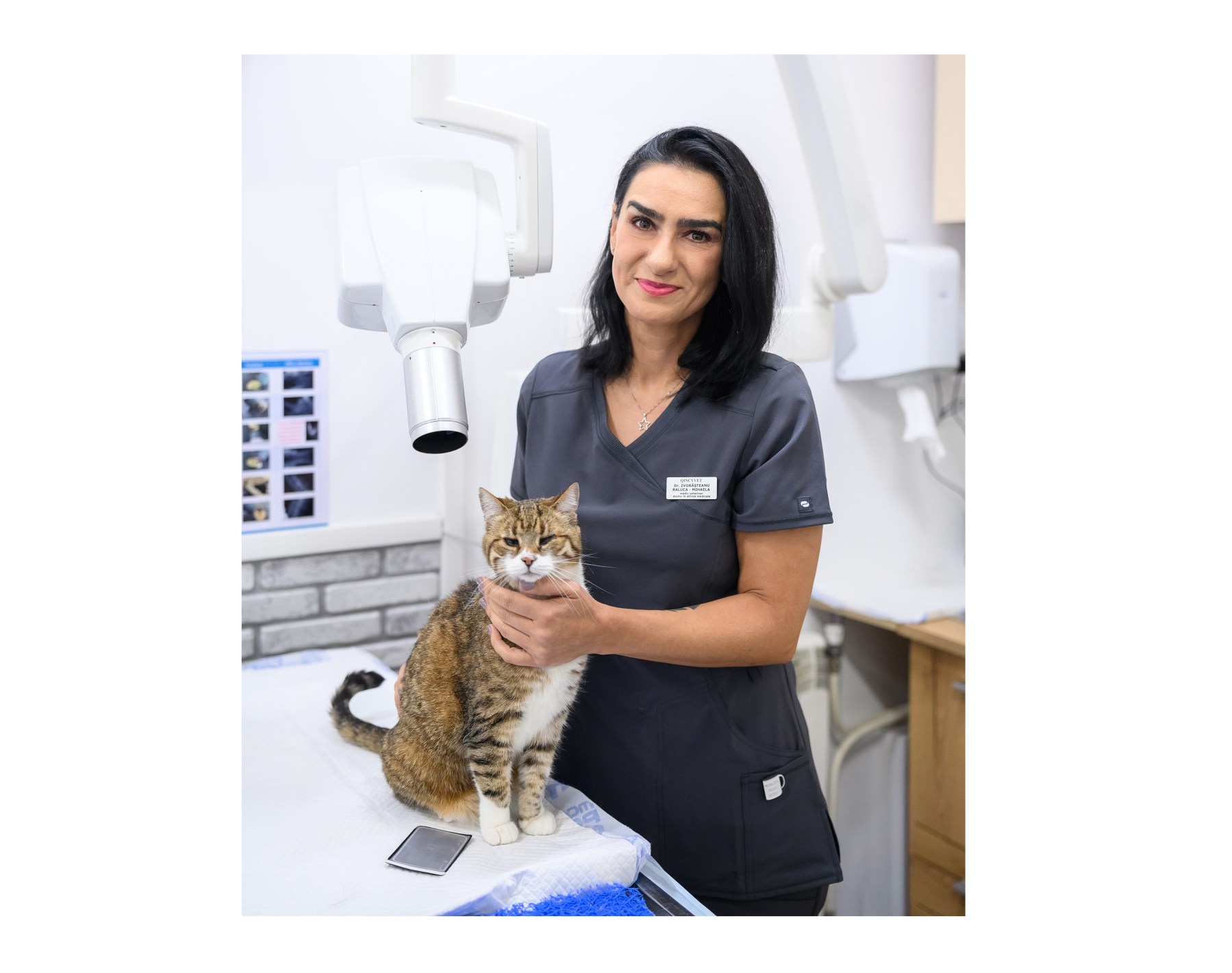 Acest medic veterinar a deschis, la București, acum 14 ani, o clinică de stomatologie pentru animale, iar acum a vândut-o unei mari rețele finanțate de Ferenc Korponay și Sacha Dragic