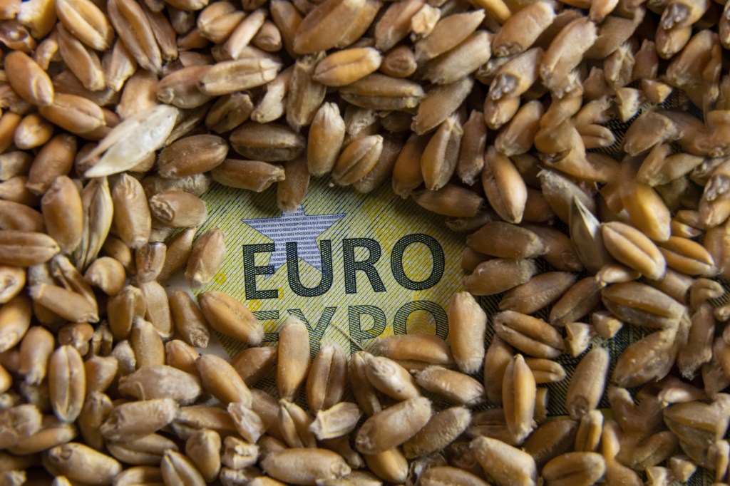 grau-euro-bani