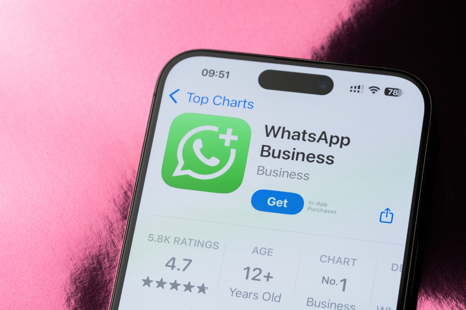 WhatsApp Business pe telefon