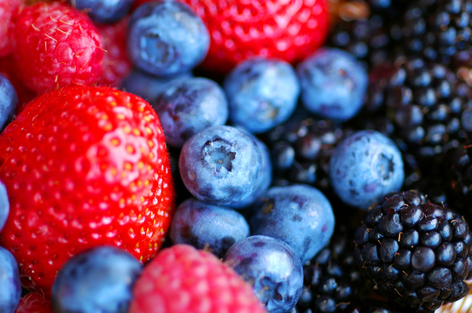Fructe de pădure în Iași, printuri pe textile și tâmplărie – Știri despre afaceri locale din România 2025