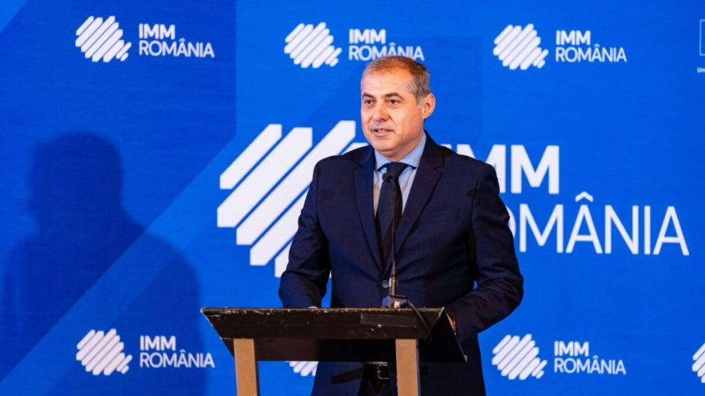 Florin Jianu, IMM Romania