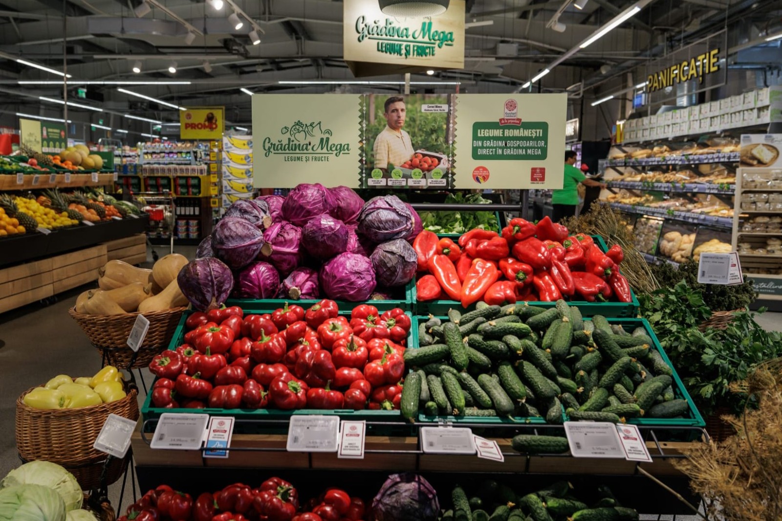 Mega Image, parteneriat cu peste 350 de producători locali de fructe și legume, în 11 ani. Investiție de 3,3 milioane EUR