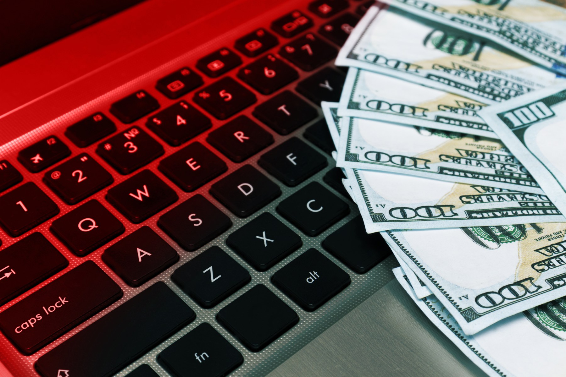 dolari_laptop