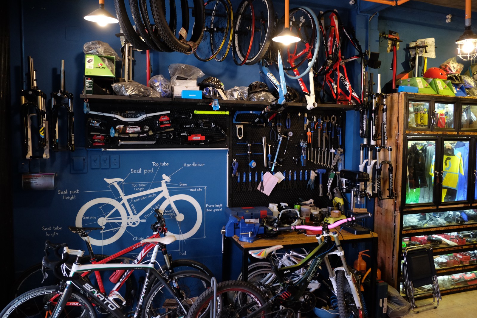 Vie de struguri în Iași, magazin de biciclete și cursuri de ciclism și fermă de prepelițe – Știri despre afaceri locale din România 2025