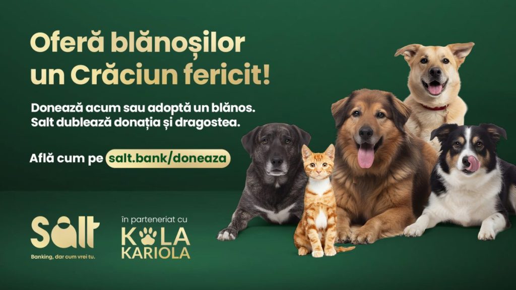 Blănoșii din adăposturi merită și ei un Crăciun fericit/FOTO: Salt Bank