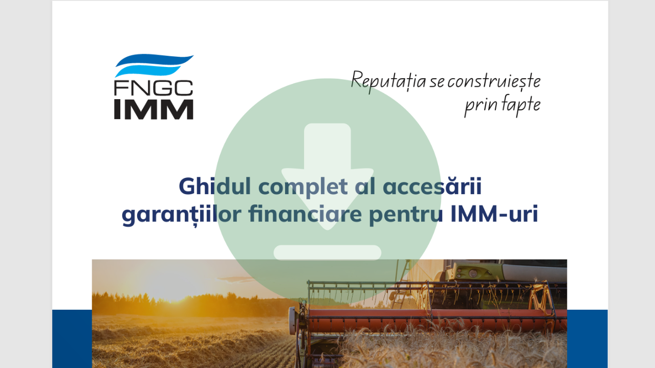 ghid garantii credite IMM Fondul garantare