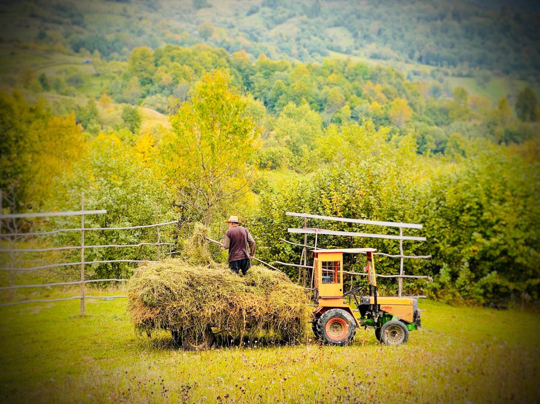 Venituri din arendă 2025: Ghid ANAF pentru persoanele fizice