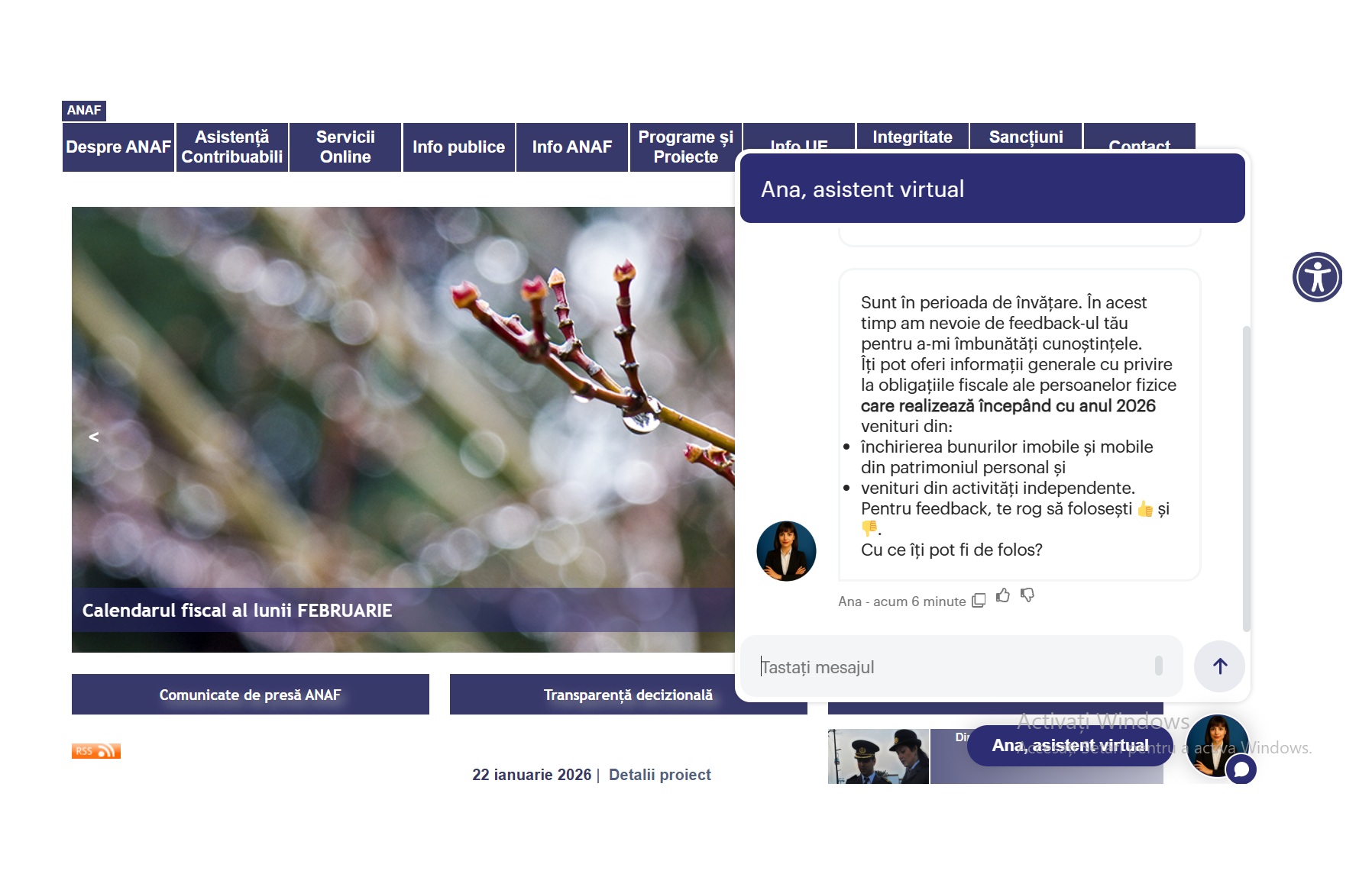 Chatbot-ul ANA, bazat pe inteligență artificială, disponibil direct pe portalul ANAF. Ce informații poate oferi