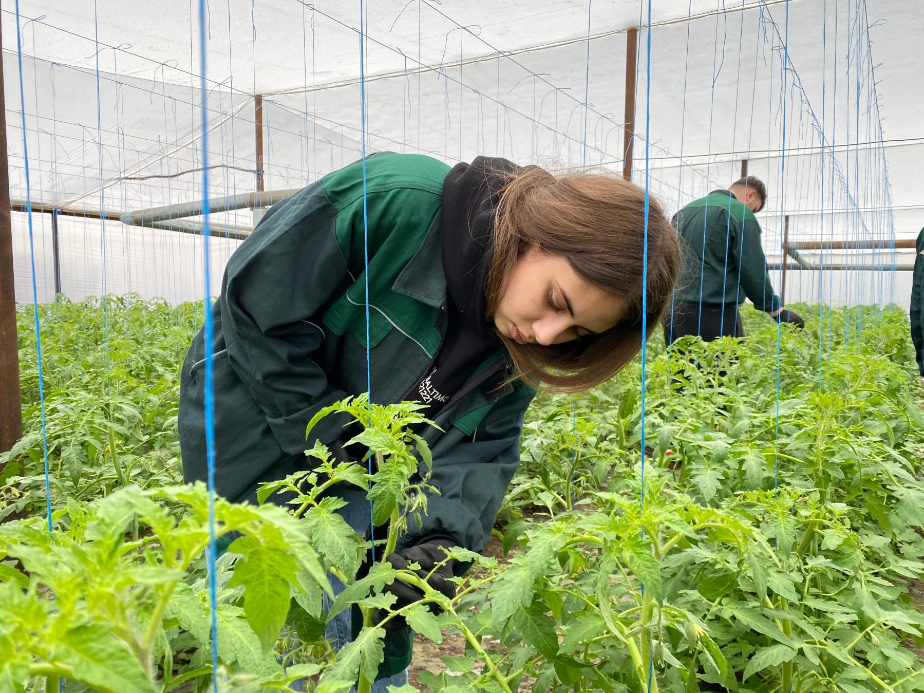 „Tinerii au transformat compania noastră într-una de succes!”