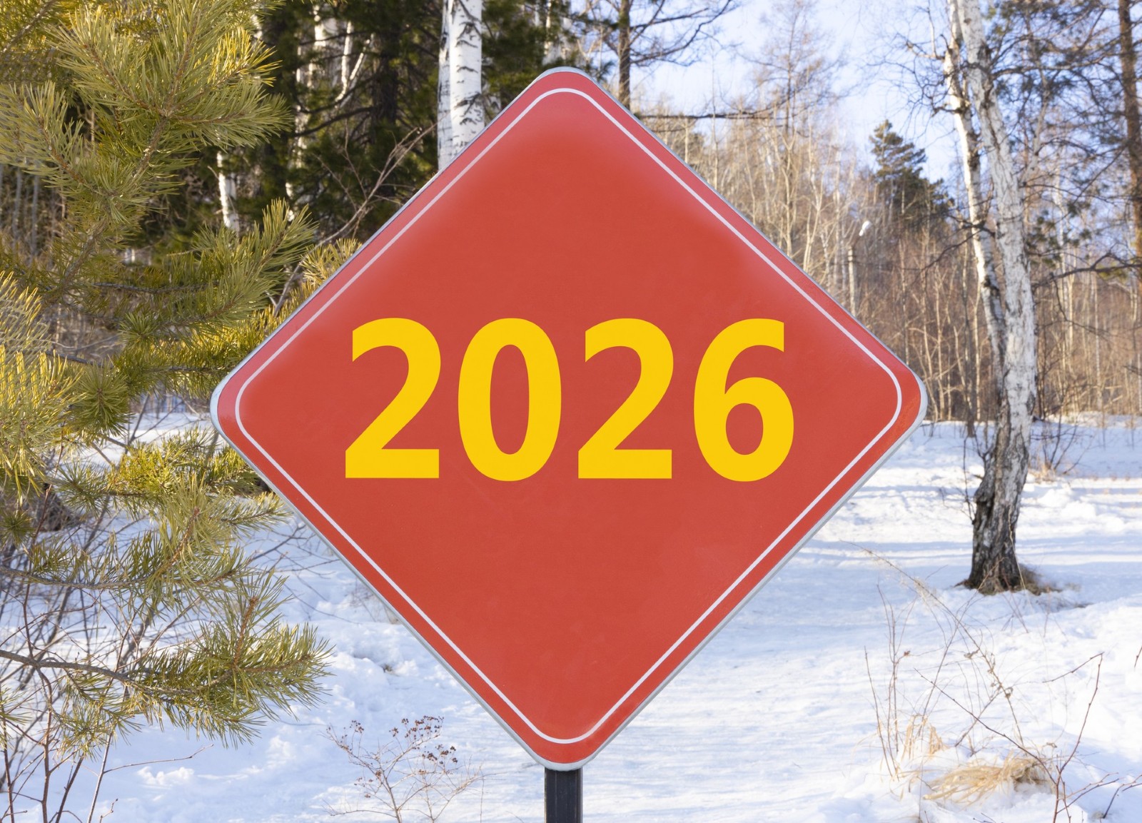 Anul 2026 aduce o criză „atipică” – Afacerile care nu au claritate și pierd controlul asupra presiunilor vor fi penalizate (analiză)