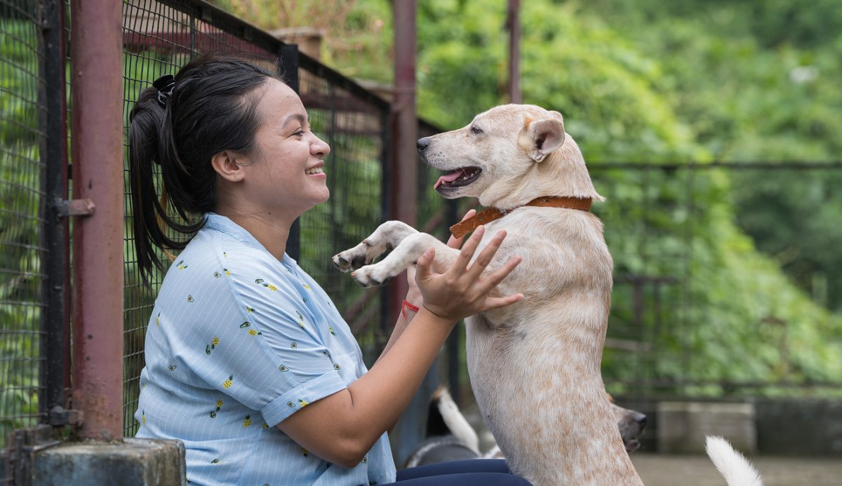 Gigantul Mars pune pe masă 85 de milioane de dolari pentru proiecte sociale și veterinare. Ce finanțează noul fond