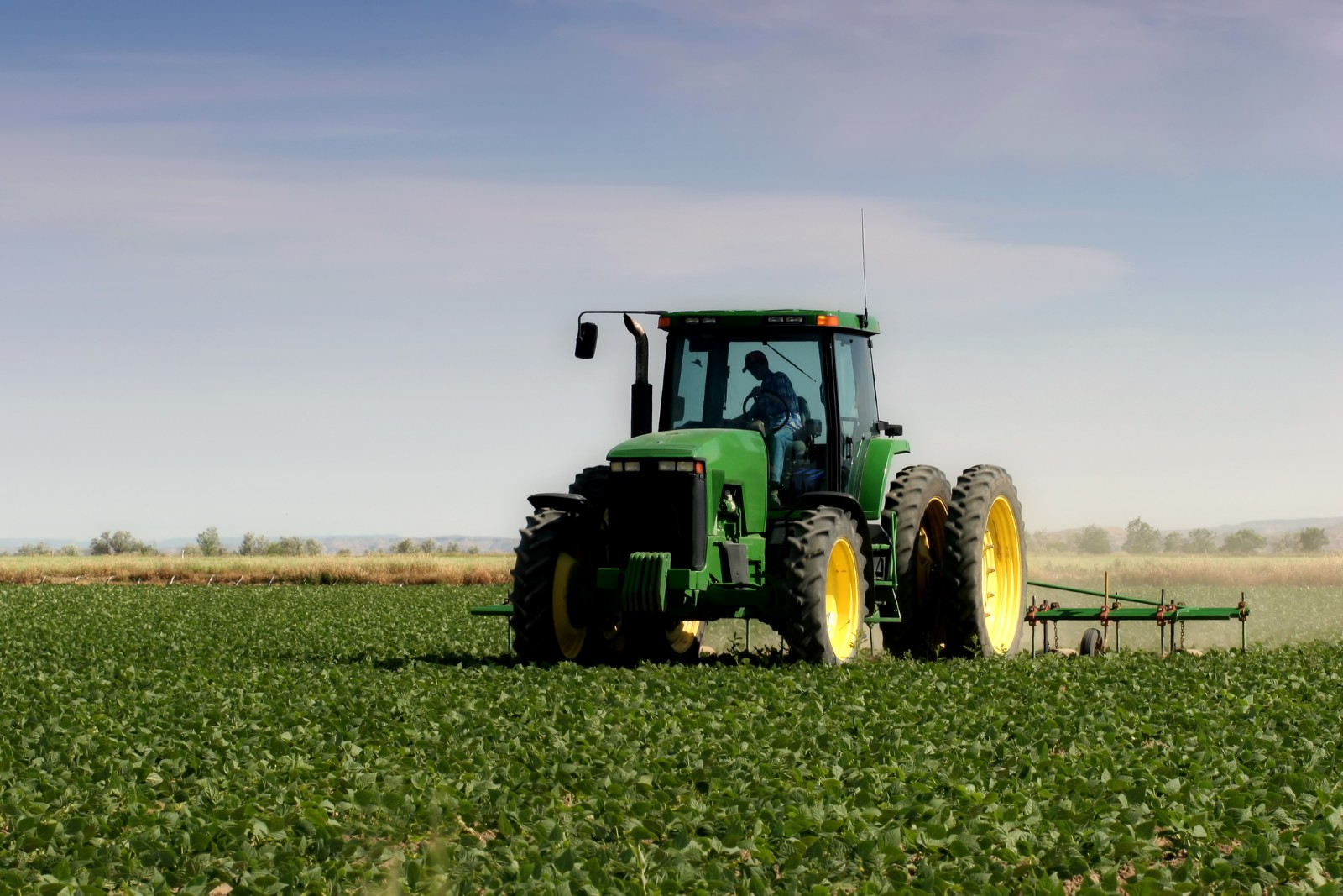 Fermierii români din 77 de cooperative, discuții despre provocările din sectorul agricol și despre inteligență artificială și integrarea tehnologiei în domeniu
