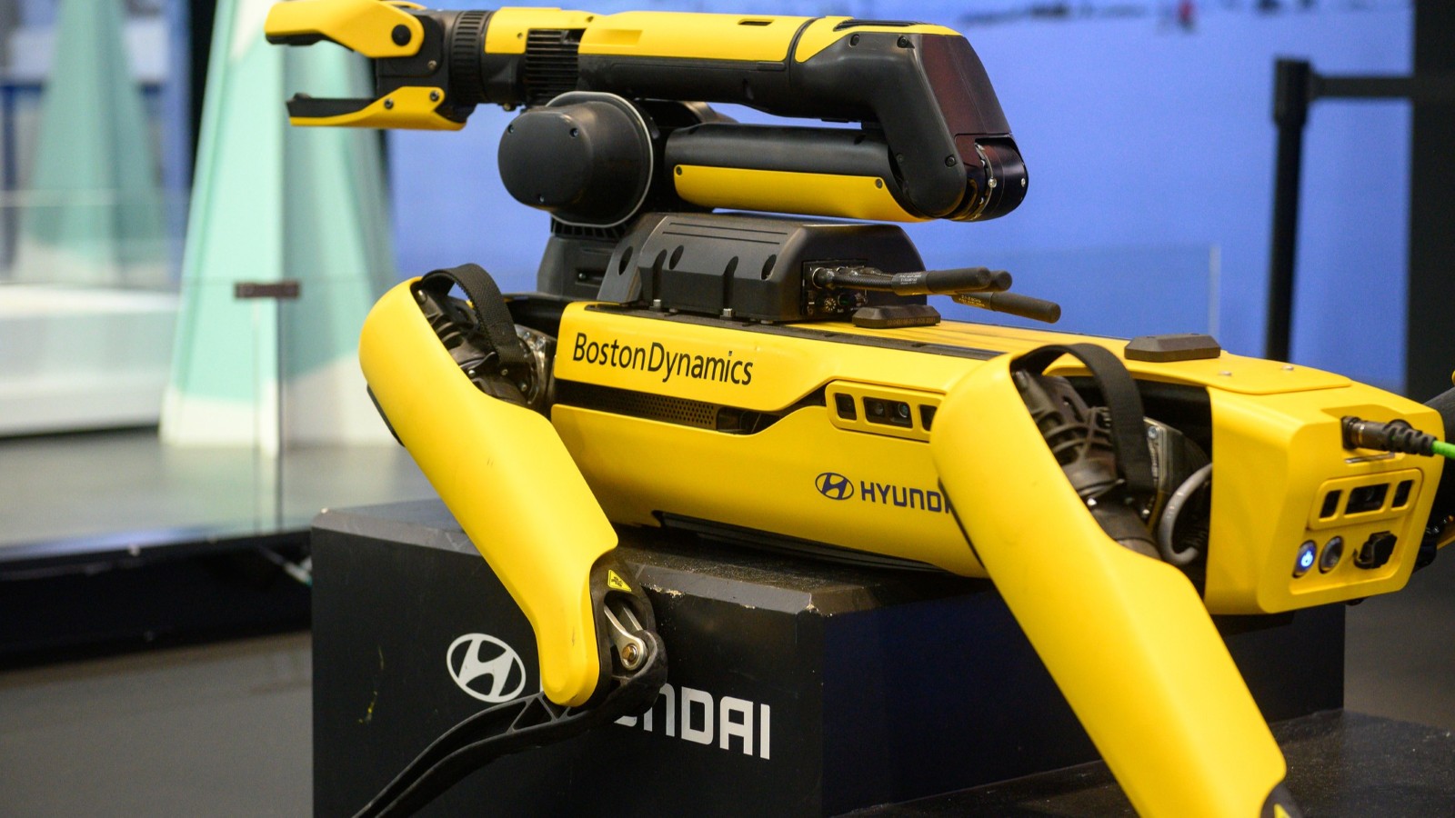 Hyundai vrea să cumpere participaţia SoftBank în compania de roboți Boston Dynamics, pentru 325 milioane dolari