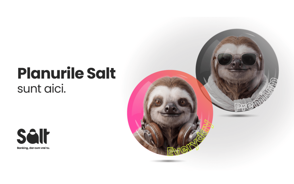 Planurile Salt