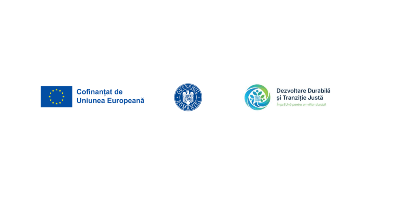[P] Dezvoltarea întreprinderii FLEXINVEST SRL prin achiziția de active corporale și necorporale