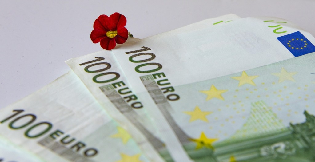 floare_euro_bani