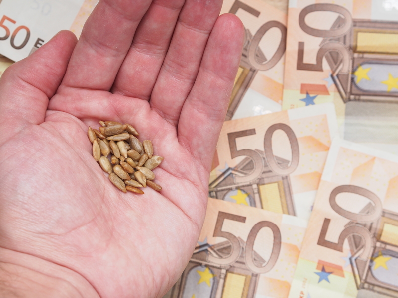 seminte_bani_euro_mana