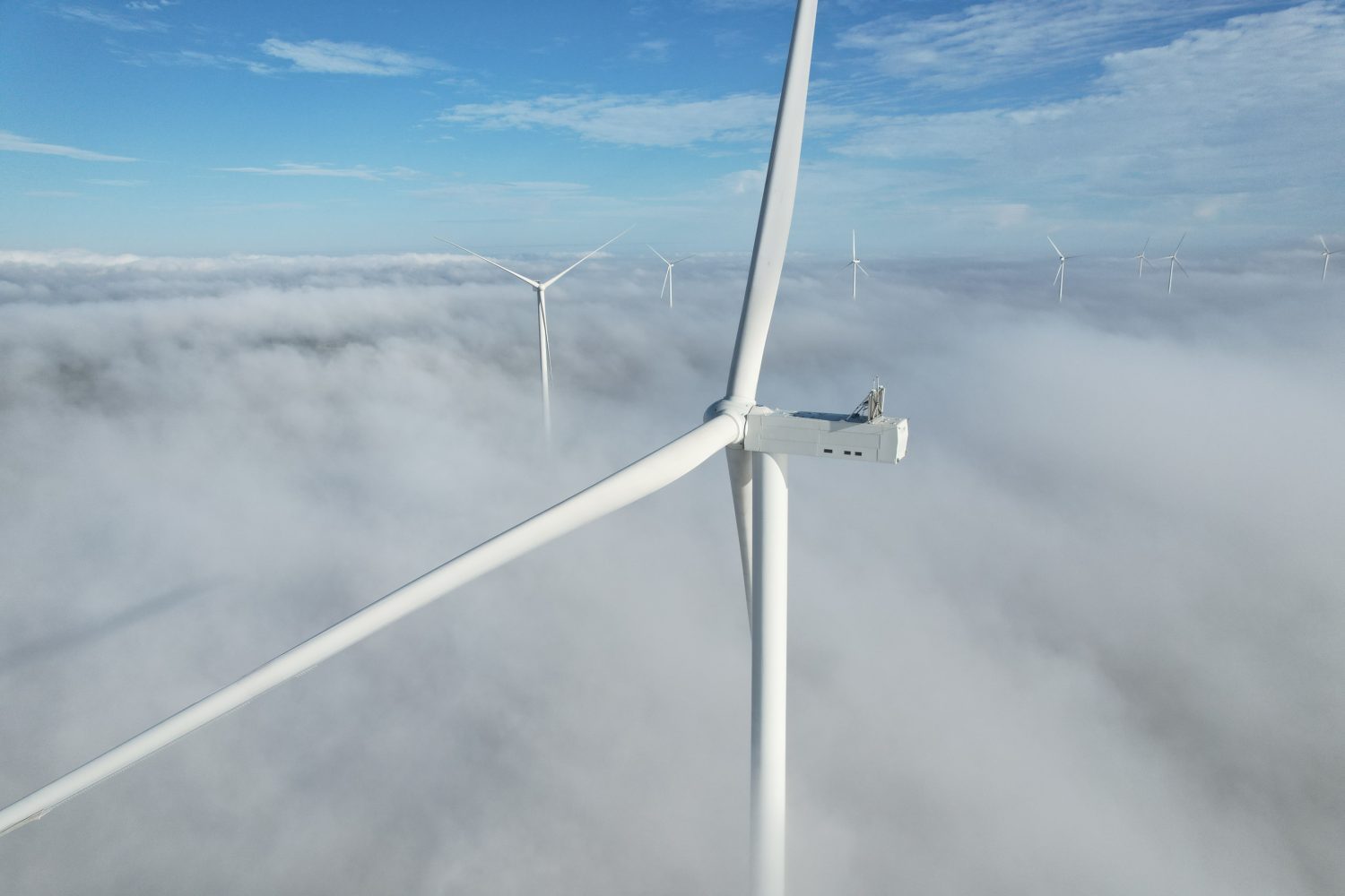 Turbine înalte cât trei Palate ale Parlamentului. Cel mai mare proiect eolian nou din România din ultimul deceniu, pus în funcțiune la Buzău
