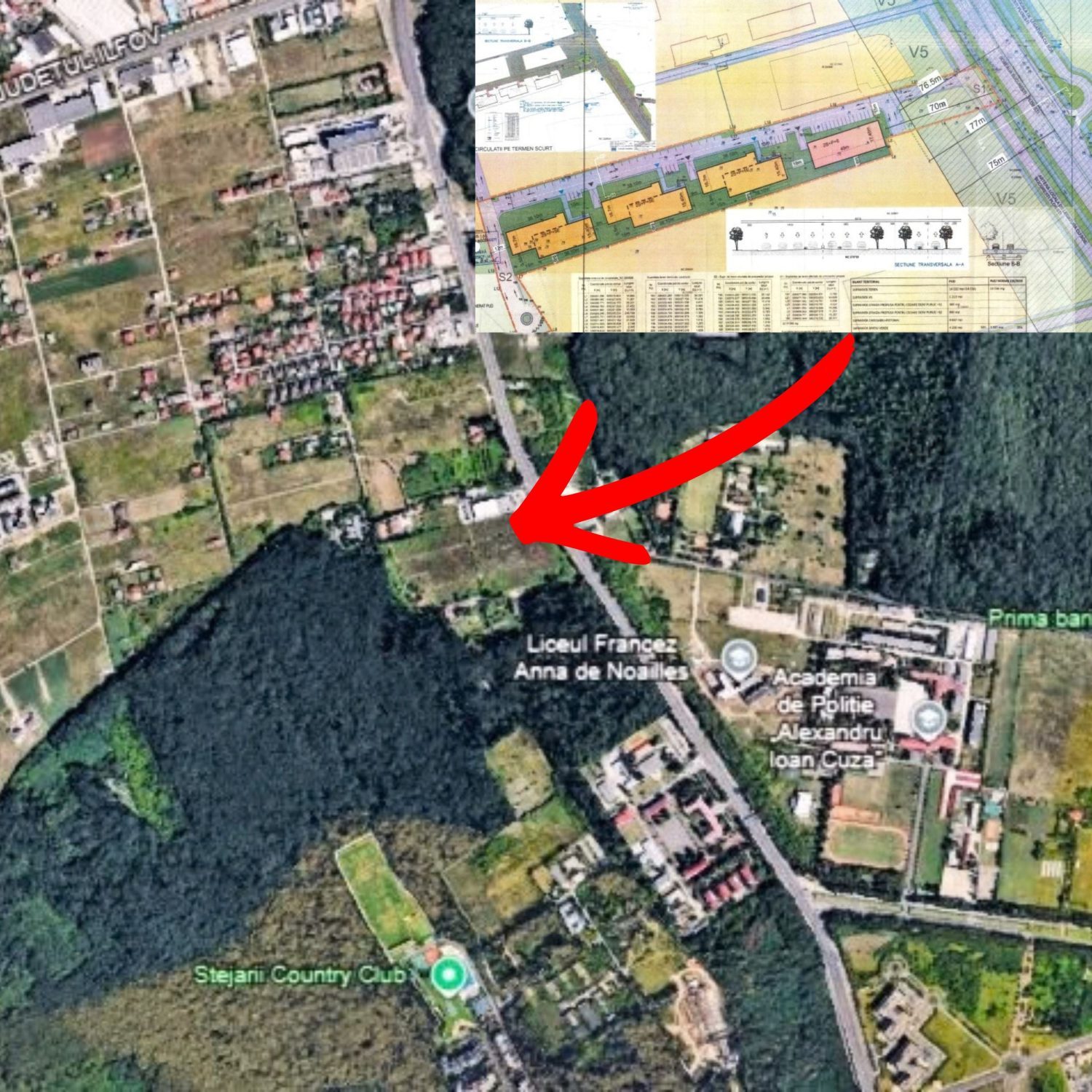 Doi antreprenori din Timișoara vor construi peste 400 de apartamente lângă Pădurea Băneasa. Blocurile vor avea până la 6 etaje și metrou în apropiere